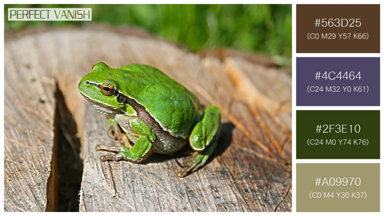 カエルの無料配色パターン 4 フリー green frog log