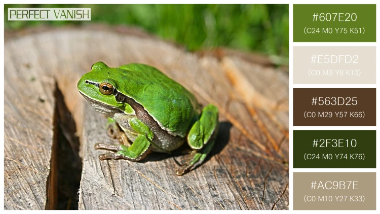 カエルの無料配色パターン 5 フリー green frog log