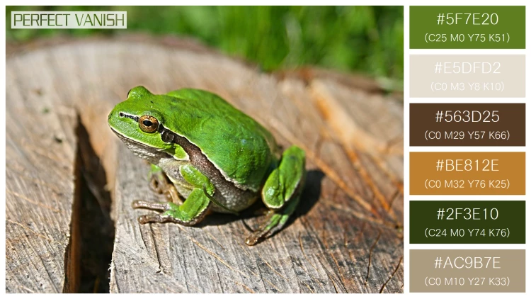 カエルの無料配色パターン 6 フリー green frog log