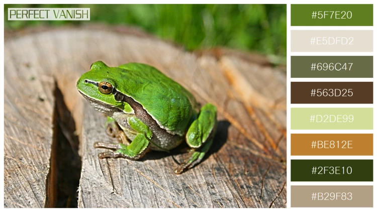 カエルの無料配色パターン 8 フリー green frog log
