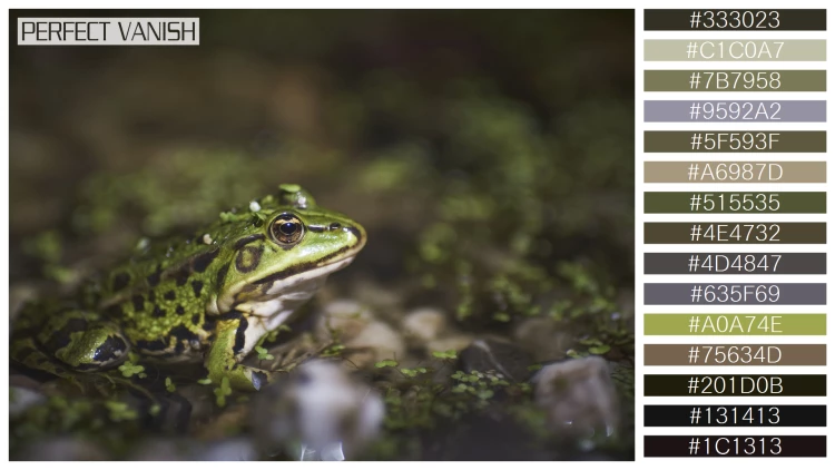 カエルの無料配色パターン 15 フリー closeup green frog