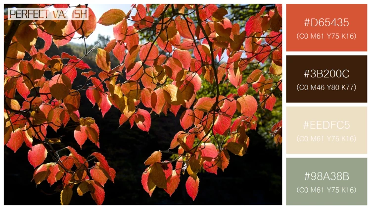 【コピペOK】秋の植物の4色の配色見本100選！【決定版3】