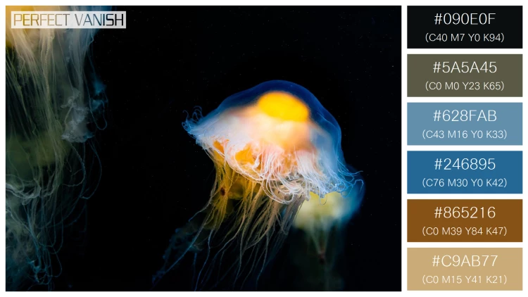 【一覧】透明感漂うクラゲの6色の配色パターン36選！【無料】
