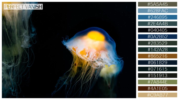 【一覧】透明感漂うクラゲの15色の配色パターン36選！【無料】