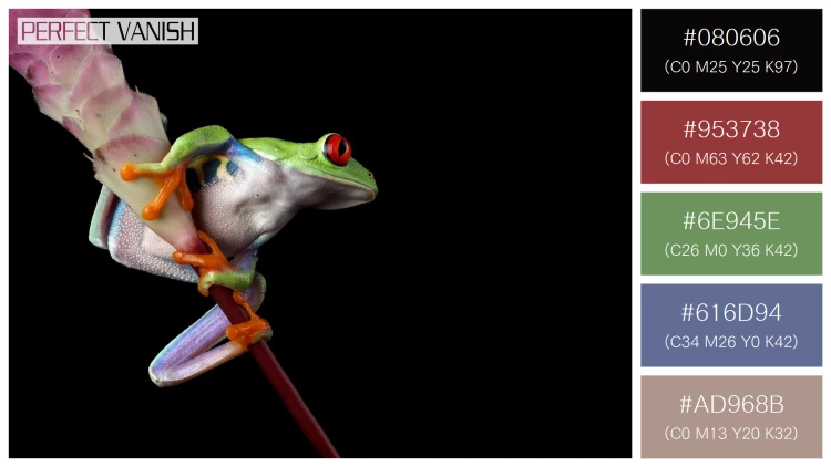 【デザイナー必見】カエルの5色の配色組み合わせ100選！【無料】