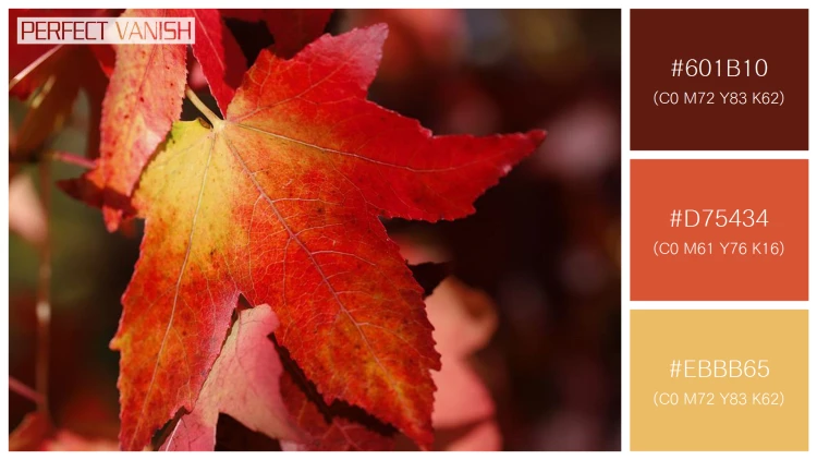 【コピペOK】秋の植物の3色の配色見本100選！【決定版2】
