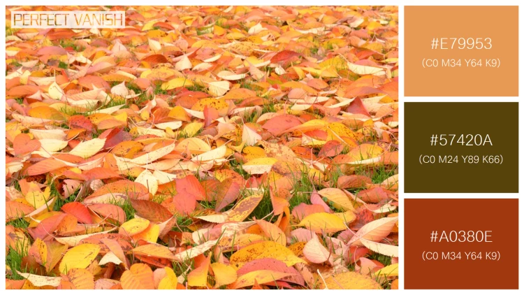 【コピペOK】秋の植物の3色の配色見本100選！【決定版3】